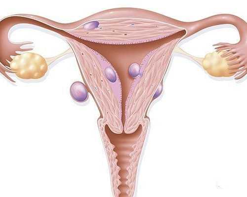 北京代孕哪里好,北京301医院做供卵,北京301医院能不能做供卵