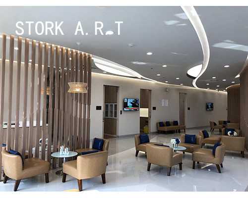 北京代孕公司,北京供卵医院有哪些，北京试管婴儿最好的医院