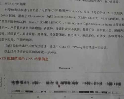 2026年黄热病疫苗接种点一览表，各大城市预约地址分享