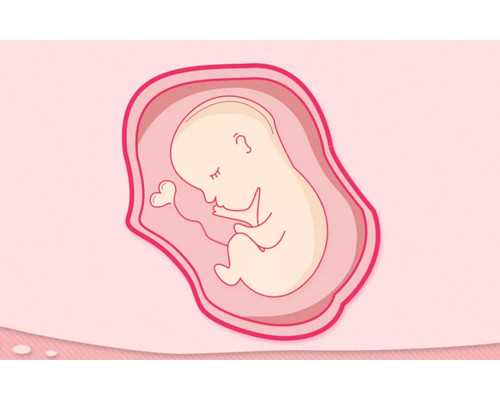 北京代生什么价格,供应北京卵石,北京家装鹅卵石供应