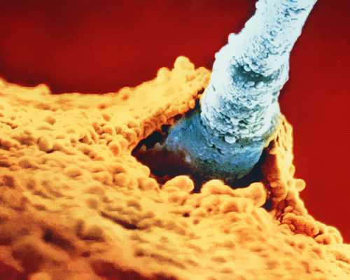 2026上海东方医院试管婴儿指南，费用参考及成功率排名