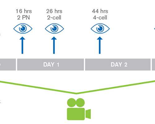 北京做试管要多钱,北京试管费用多少？附北京试管婴儿医院！