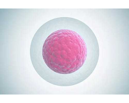 北京代孕公司/机构,北京郭敏供卵,北京十渡龙凤胎母亲郭敏