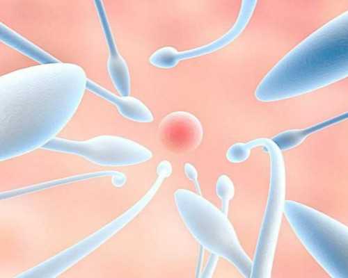 北京试管代生案例,北京家圆医院地址,北京家圆医院电话