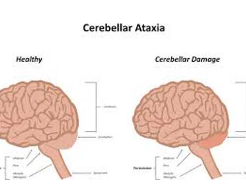 北京代孕最好的医院,北京供卵医院地址，北京301医院做供卵