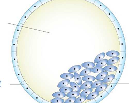 北京代生服务平台,北京国家人类精子库,北京人类精子库