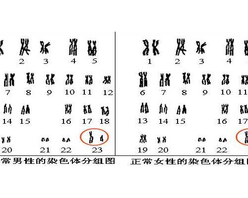 北京代怀咨询中心,北京供卵机构有哪些,北京供卵医院有哪些