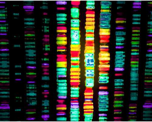 北京医院供卵成功,北京家圆医院与北医三院,北京家圆or北医三院