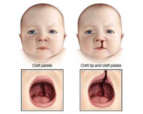 北京代怀公司供卵,北京人类精子库要求,北京人类精子库给钱