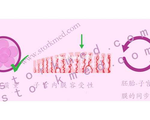 北京大学生代孕,北京治无精症医院好,北京治疗无精症医院哪家好