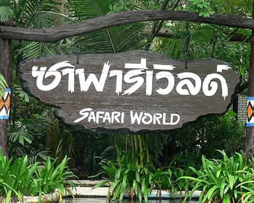 北京代怀妈妈咨询,北京大型医院试管婴儿,北京家圆试管婴儿医院