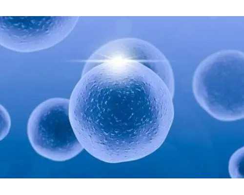 北京知名的代生,北京找供卵女孩