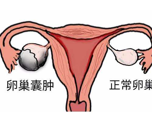 北京哪个医院做代孕好,南京做人工授精最好的医院,北京做人流医院