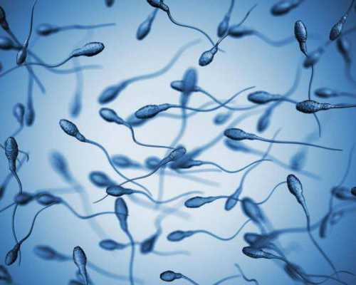 北京我要宝宝代孕公司,北京供卵只找传承生殖,北京供卵都赞传承生殖