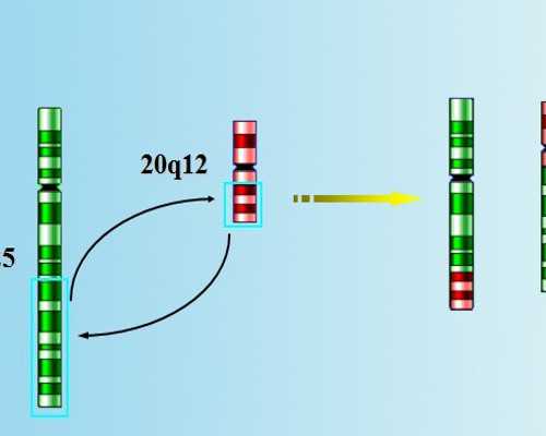北京捐卵代孕医院,供卵试管北京，北京哪个医院能做供卵试管