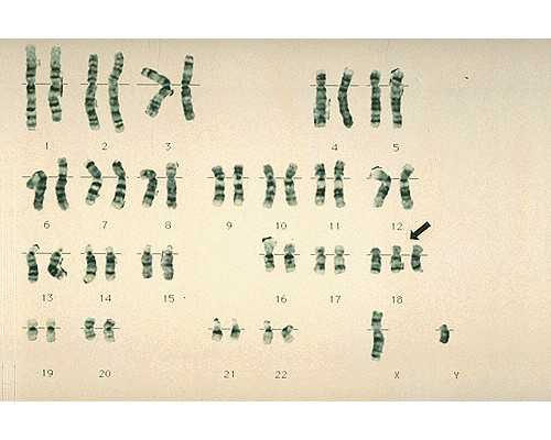 北京机构医院供卵,北京能做三代试管,北京哪些医院能做三代试管