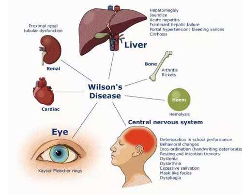 北京代怀包生女孩,北京省人类精子库,北京人类精子库官网