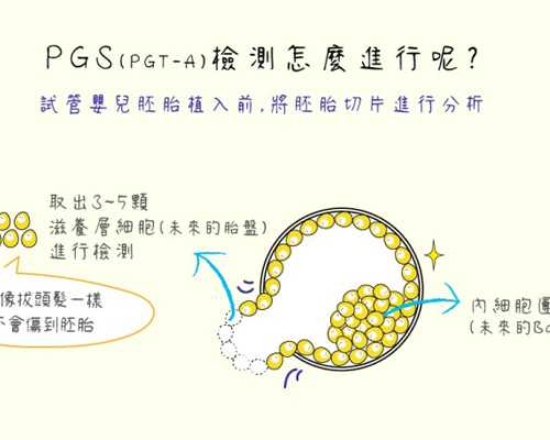 北京代生正规公司,北京供卵机构多吗,北京供卵助孕机构