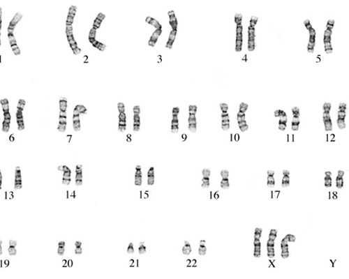 北京试管代孕私立医院,北京人类精子库
