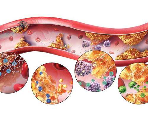 北京借卵哪家靠谱,北京家恩供卵,北京哪家私立医院能供卵