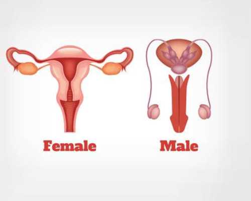 北京代孕包男孩公司,北京试管婴儿医院哪家好，北京试管婴儿的医院