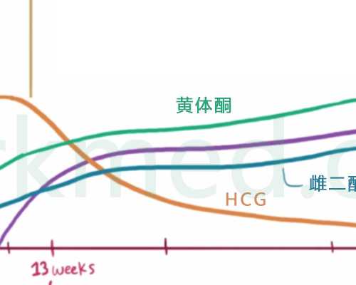 北京哪里做代孕最好,北京考试人事网北京人事考试中心官网
