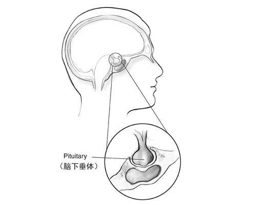 北京代孕网套餐,北京供卵代怀包生男孩,北京代怀选性别包生男孩