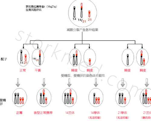 北京哪有代怀医院,北京二胎产假多少天？北京2026最新产假规定！