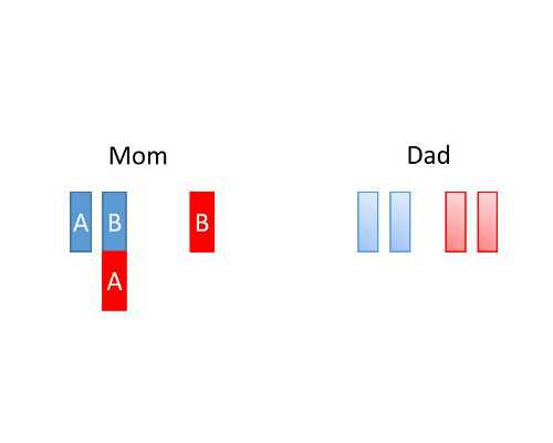13周的宝宝如何看NT图表区分男女？三个特征告诉你?
