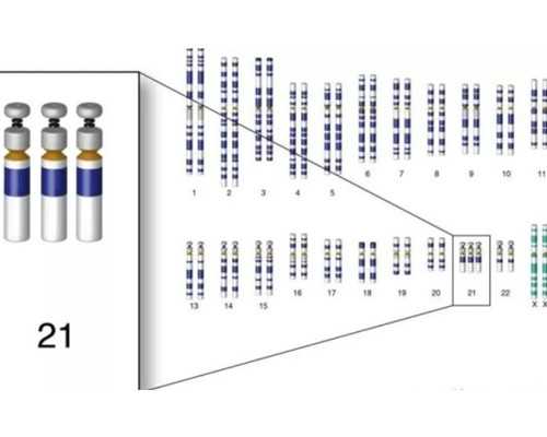 2026广东三代试管包生男孩价格是多少？看完你就知道了？