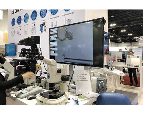 北京代怀费用明细,在北京可以做试管双胞胎吗附北京双胞胎详细