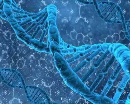 一分钟了解Arsen Gvenetadze博士：生殖诊所总经理