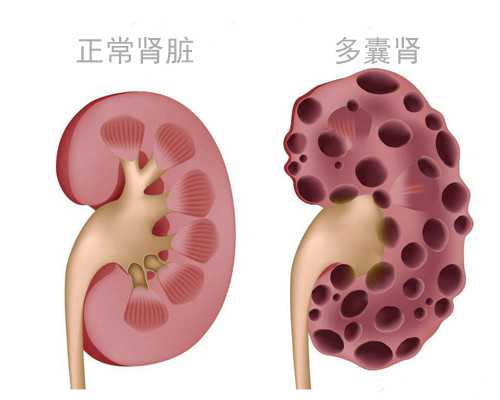 北京供卵正规吗,北京正规供卵的医院,北京私立供卵的医院