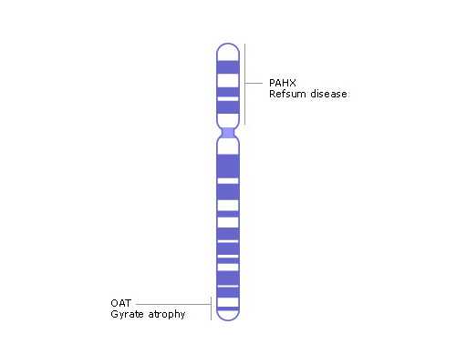 北京代生QQ群,北京家恩德运能供卵吗，北京家恩德运电话
