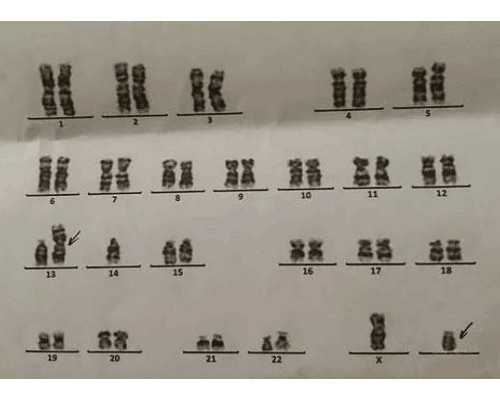 北京长际医疗代孕套餐,北京育儿假正式文件北京育儿假实施细则