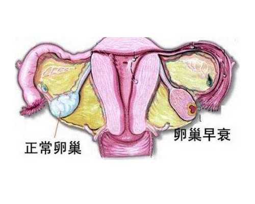 北京代孕机构网址,北京三院生殖中心供卵，北京供卵都赞传承生殖