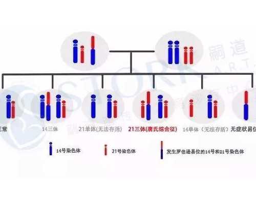 北京代孕套餐公司,北京医院精子库,北京哪家医院有精子库