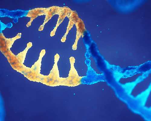 黄冈市中心医院试管婴儿价格表，2026助孕费用明细参考