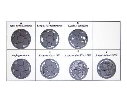 北京代孕哪里比较好,北京试管婴儿医院需要多少费用有哪些项目