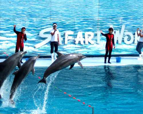 北京借卵子代生,做试管哪里最好北京家,北京哪里做试管婴儿最好