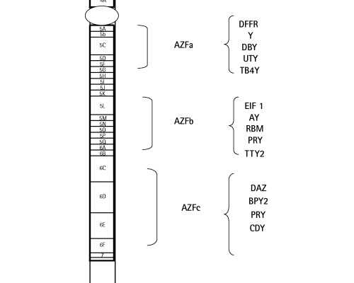 北京单身代怀,北京三院精子库招聘,北京精子库有几家
