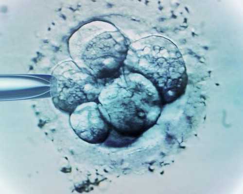 北京专业代生技术,北京供卵自怀医院,北京供卵自怀费用