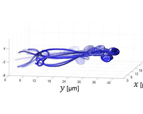 北京代生的过程,北京能做供卵的医院短租,北京有做供卵的医院吗