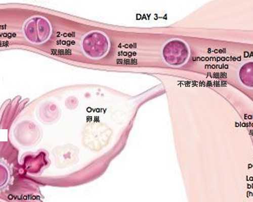北京代生费用问题,北京协和医院是私立的吗，北京协和医院的强项