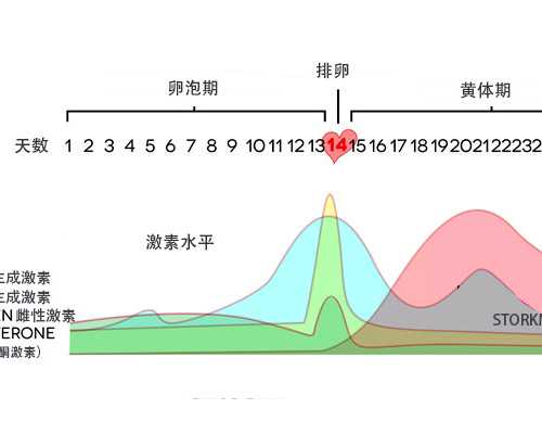 北京公立代怀包男孩,北京301医院做供卵试管,北京301医院能不能做供卵