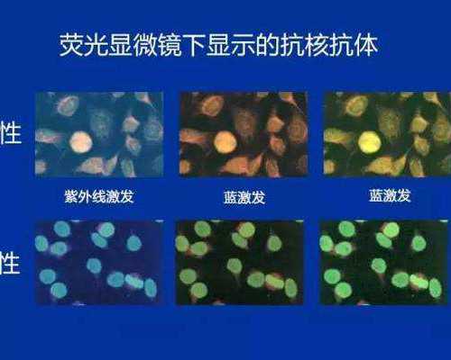 北京捐卵代怀哪里有,北京试管约好孕帮优质,北京试管O到好孕帮