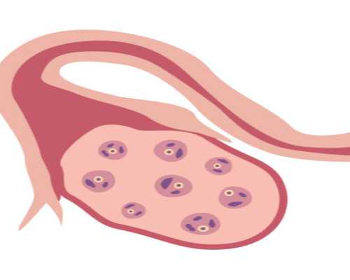 北京代孕双胞胎费用,北京高考防疫政策2026北京高考防疫要求最新消息