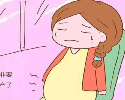 北京医院帮人借卵试管,北京供卵医院都有些,北京正规供卵医院