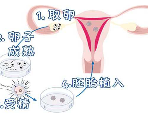 2026南京鼓楼医院供精试管婴儿攻略，过来人分享费用及流程