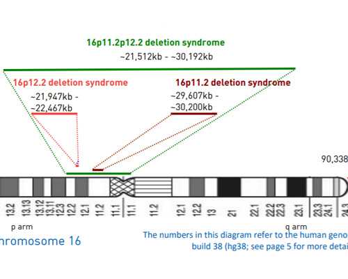 北京专业做代怀,北京精子捐献中心电话，北京精子库地址电话